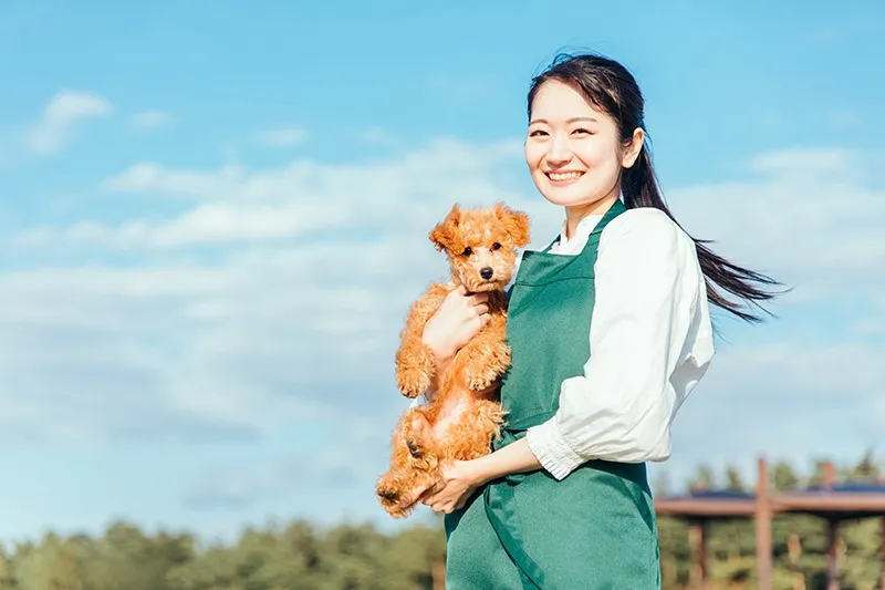 ペットショップの販売スタッフ/可愛い動物たちと一緒に楽しく働こう！/正社員/神戸市